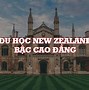 Đại Học Y Ở New Zealand Là Gì Ạ