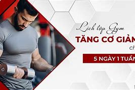 Lịch Tập Gym Giảm Mỡ Bụng Cho Nam