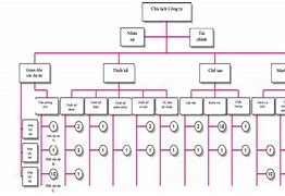 Tổ Chức Tiếng Anh Gọi Là Gì