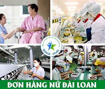 Xklđ Đài Loan Đơn Hàng Com Hộp Là Gì Ạ Tiếng Anh