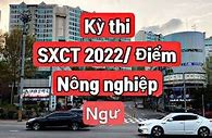 Xkld Mỹ 2022 Là Gì Ạ Tiếng Hàn