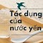 Yến Có Tác Dụng Gì